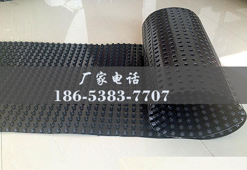 排水板廠(chǎng)家http://m.zzqcbjjw.com/