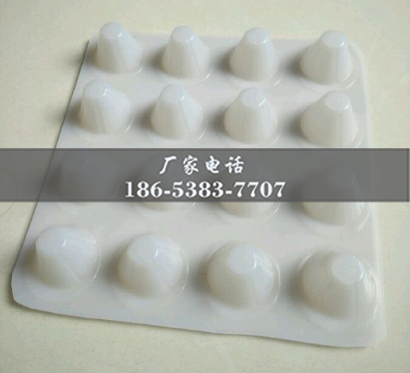 排水板廠(chǎng)家http://m.zzqcbjjw.com/