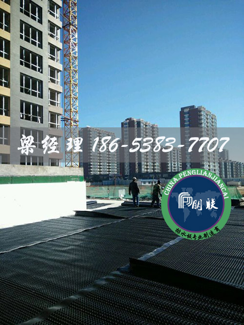 排水板廠(chǎng)家http://m.zzqcbjjw.com/