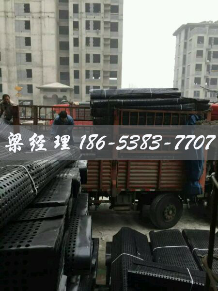 排水板廠(chǎng)家http://m.zzqcbjjw.com/